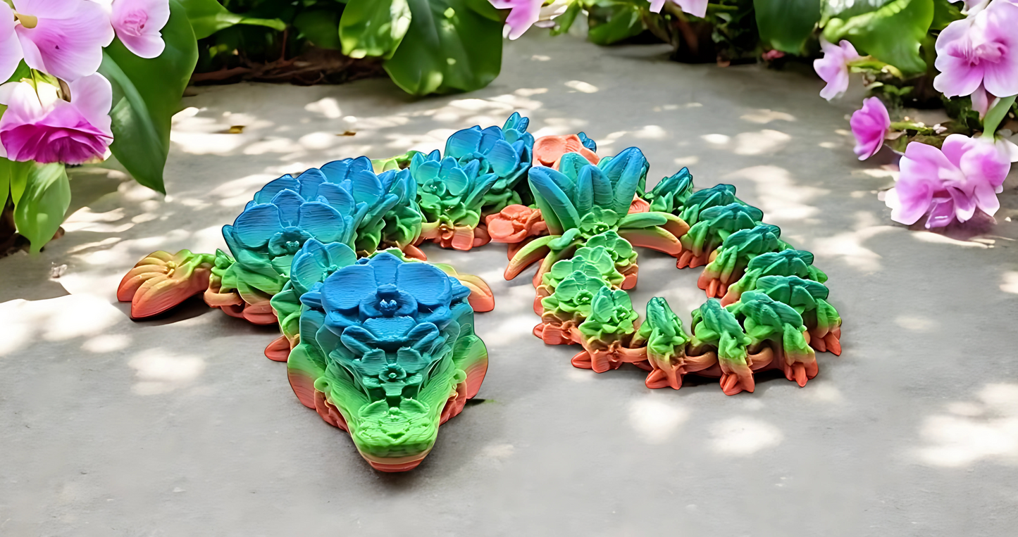 Dragons